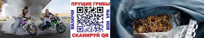Галлюциногенные грибы мухоморы  Купить закладки  Нижнеудинск 